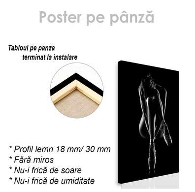 Poster - Siluetă feminină 12, 30 x 45 см, Panza pe cadru, Nude