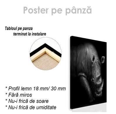 Постер, Носорог, 60 x 90 см, Постер на Стекле в раме, Животные