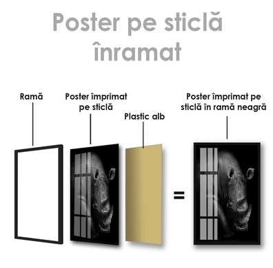 Poster, Rinocer, 60 x 90 см, Poster inramat pe sticla