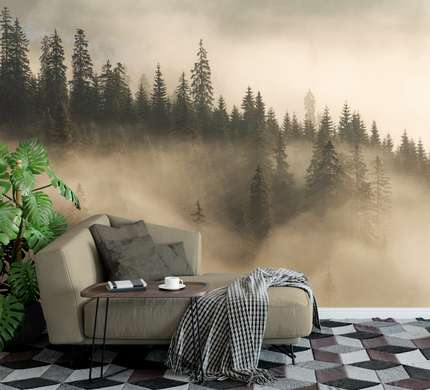 Wall Mural - Christmas trees in the fog