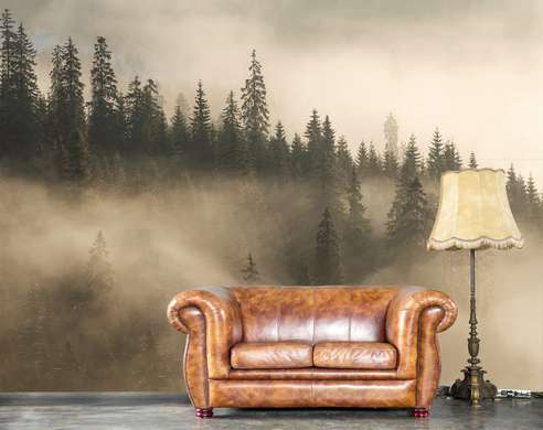 Wall Mural - Christmas trees in the fog