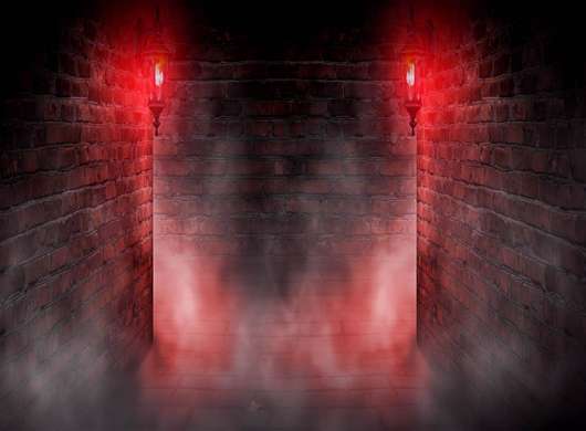 Wall Mural - Entrance to the dungeon