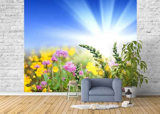 Wall Mural - Flowers and sunny sky