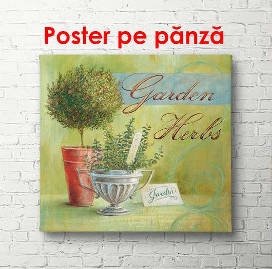 Poster - Floarea verde pe un fundal verde, 100 x 100 см, Poster înrămat