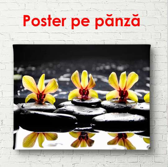 Постер - Желтые орхидеи на черных камнях, 90 x 60 см, Постер в раме