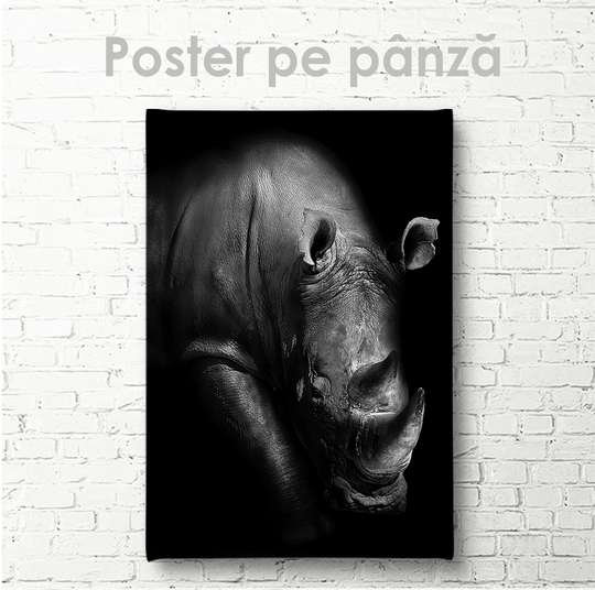 Poster, Rhino, 30 x 45 см, Canvas on frame, Animals