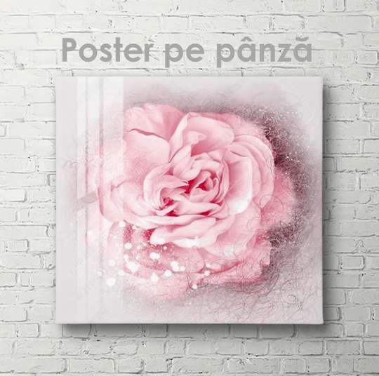 Poster - Delicate beauty, 40 x 40 см, Canvas on frame