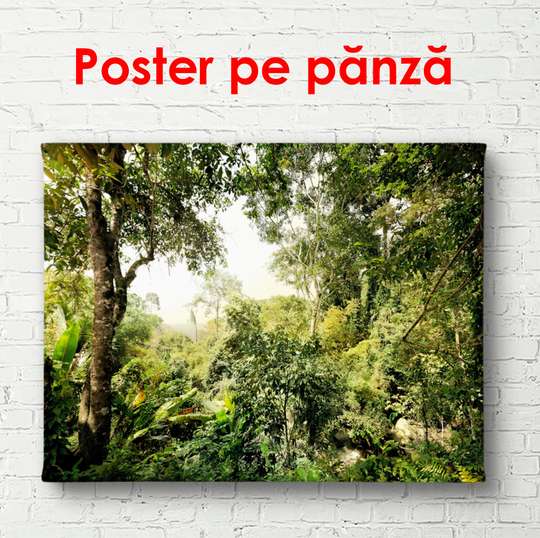 Poster - Green Park, 90 x 60 см, Framed poster
