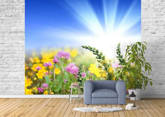 Wall Mural - Flowers and sunny sky