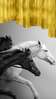 Poster - Black and white horses with golden elements, 30 x 60 см, Framed poster, Animals