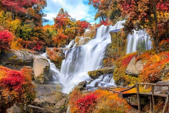 Фотообои - Скалистый водопад в ярком лесу