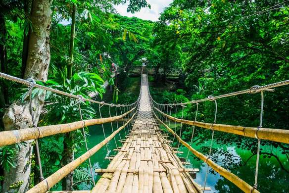 Ширма - Деревянный мост вдоль зеленого леса, 3