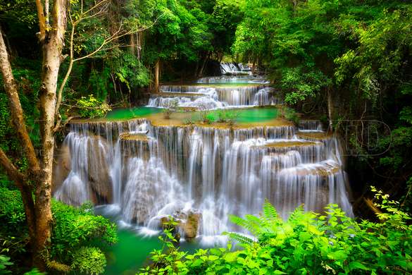 Wall Mural - Waterfall in a forest idyll