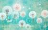 Wall Mural - Bright dandelions on a turquoise background