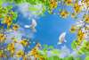 Wall Mural - White doves in the sky with flowers