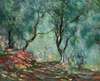 Poster - Claude Monet - Măslini în grădina Moreno la Posterloun, 45 x 30 см, Panza pe cadru, Picturi