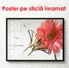 Poster - Maci roșii pe un fond gri, 90 x 60 см, Poster înrămat, Flori