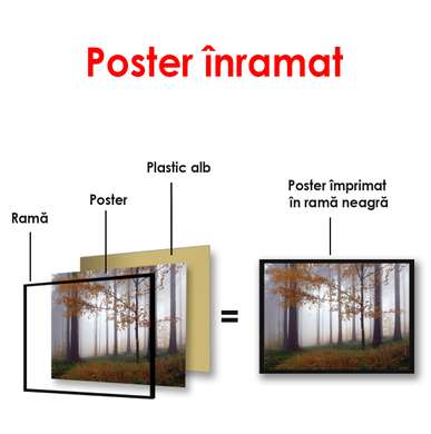 Poster - Foggy forest, 90 x 60 см, Framed poster