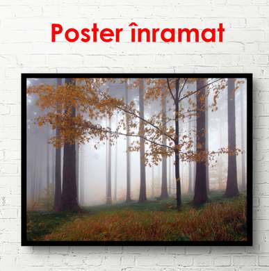 Poster - Pădurea ceață, 90 x 60 см, Poster înrămat, Natură