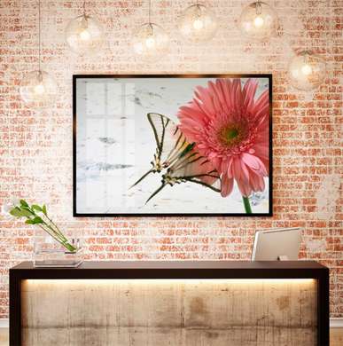 Poster - Red poppies on a gray background, 90 x 60 см, Framed poster, Flowers