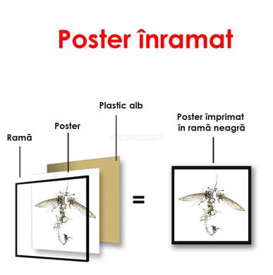 Poster - Insectă abstractă pe un fundal alb, 100 x 100 см, Poster inramat pe sticla, Minimalism