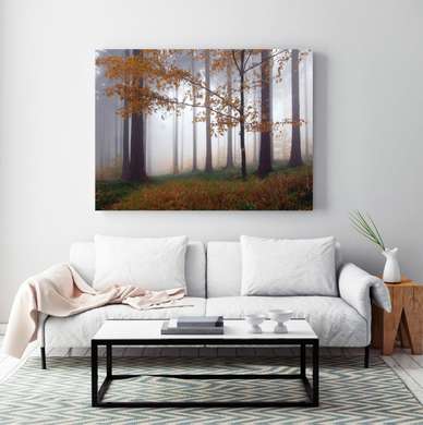 Poster - Foggy forest, 90 x 60 см, Framed poster