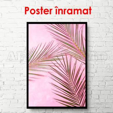 Poster - Frunze de palmier pe fundal roz aprins, 60 x 90 см, Poster inramat pe sticla, Botanică