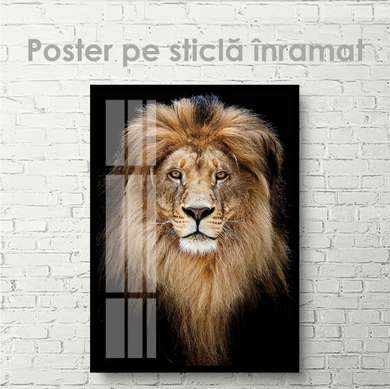 Poster, Leul grațios, 60 x 90 см, Poster inramat pe sticla