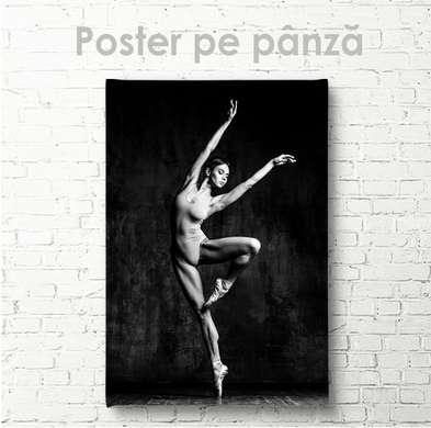 Poster - Elasticitatea corpului, 30 x 45 см, Panza pe cadru