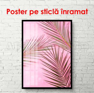 Poster - Frunze de palmier pe fundal roz aprins, 60 x 90 см, Poster inramat pe sticla, Botanică