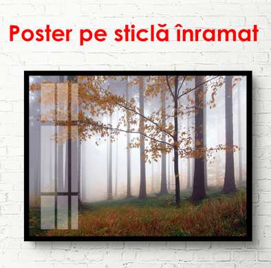 Poster - Pădurea ceață, 90 x 60 см, Poster înrămat, Natură