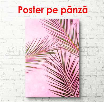 Poster - Frunze de palmier pe fundal roz aprins, 60 x 90 см, Poster inramat pe sticla, Botanică