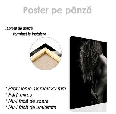 Poster - Siluet, 30 x 45 см, Panza pe cadru, Nude