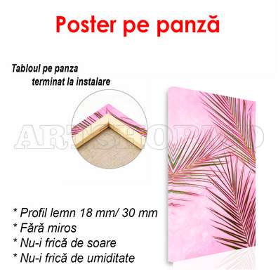 Poster - Frunze de palmier pe fundal roz aprins, 60 x 90 см, Poster inramat pe sticla, Botanică