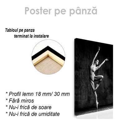 Poster - Elasticitatea corpului, 60 x 90 см, Poster inramat pe sticla