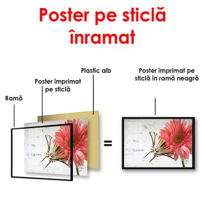 Постер - Красные маки на сером фоне, 90 x 60 см, Постер в раме, Цветы