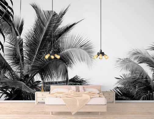 Wall Mural - Gray white palm tree against the sky