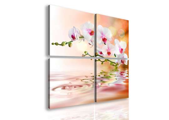 Модульная картина, Белая орхидея на бежевом фоне., 120 x 120