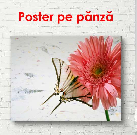 Poster - Red poppies on a gray background, 90 x 60 см, Framed poster
