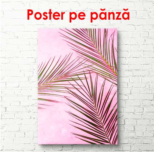 Poster - Frunze de palmier pe fundal roz aprins, 30 x 45 см, Panza pe cadru