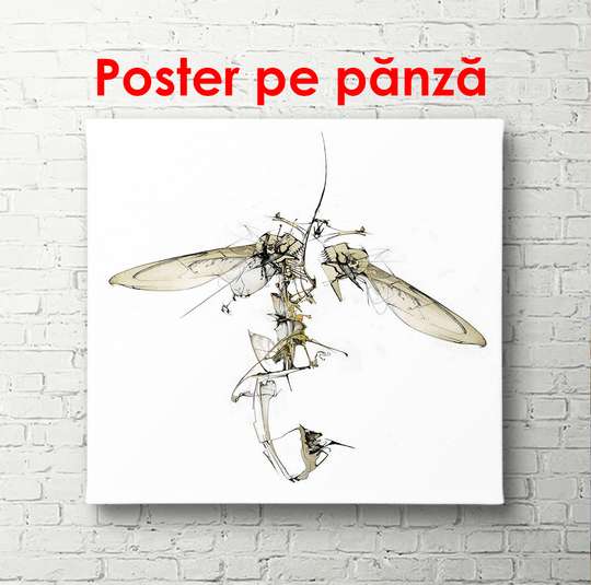 Постер - Абстрактное насекомое на белом фоне, 100 x 100 см, Постер в раме