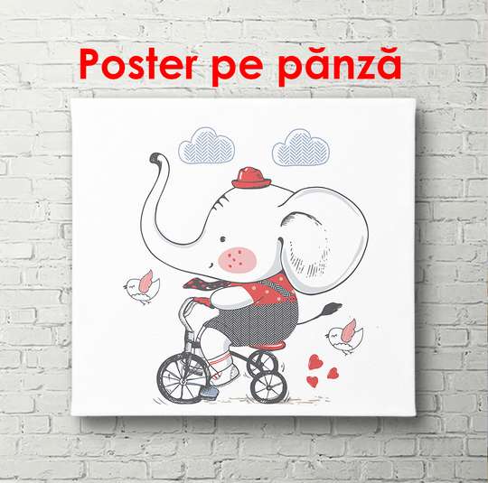 Poster - Elephant on a bike, 100 x 100 см, Framed poster