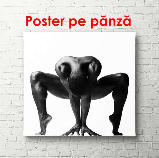 Poster - Game of contrasts, 100 x 100 см, Framed poster, Nude