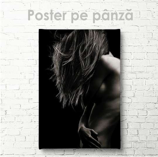 Poster - Siluet, 30 x 45 см, Panza pe cadru