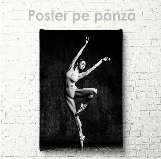 Poster, Elasticitatea corpului, 30 x 45 см, Panza pe cadru