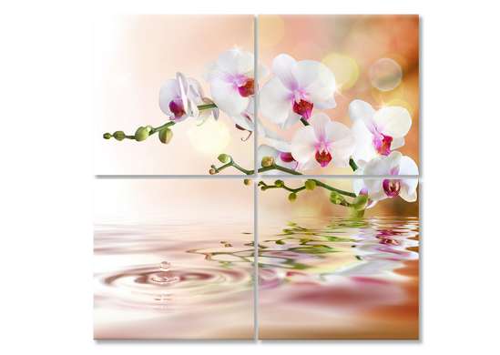 Tablou Pe Panza Multicanvas, Orhidee albă pe un fundal bej., 120 x 120