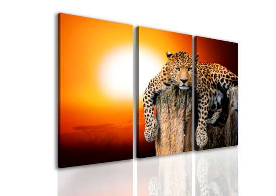 Tablou Pe Panza Multicanvas, Leopardul la apusul soarelui