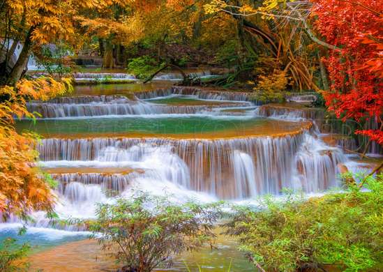 Wall Mural - Charming cascade on the background of the forest