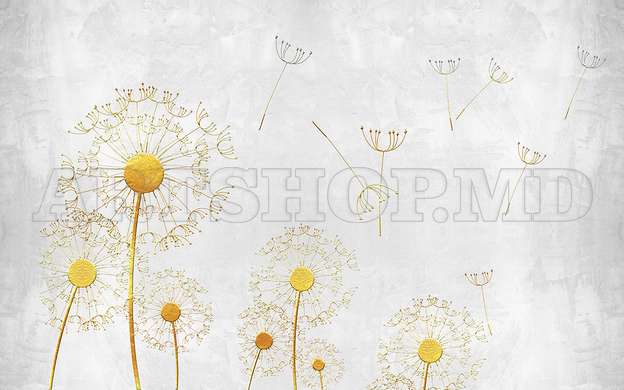 Wall mural - Dandelions with golden stem on gray background