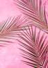 Poster - Tropical palm leaves on a bright background, 30 x 45 см, Canvas on frame, Botanical